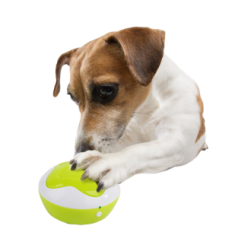 AFP Interactives - Interprète de chiens 24x23x7 cm