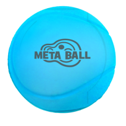 Balle Meta Ball AFP Rebondissante Sonore | Chien