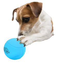 AFP Meta Ball - Balle rebondissante et sonore pour chien