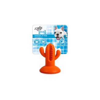 AFP Dental Chews - Cactus Dentaire M Orange pour Chien