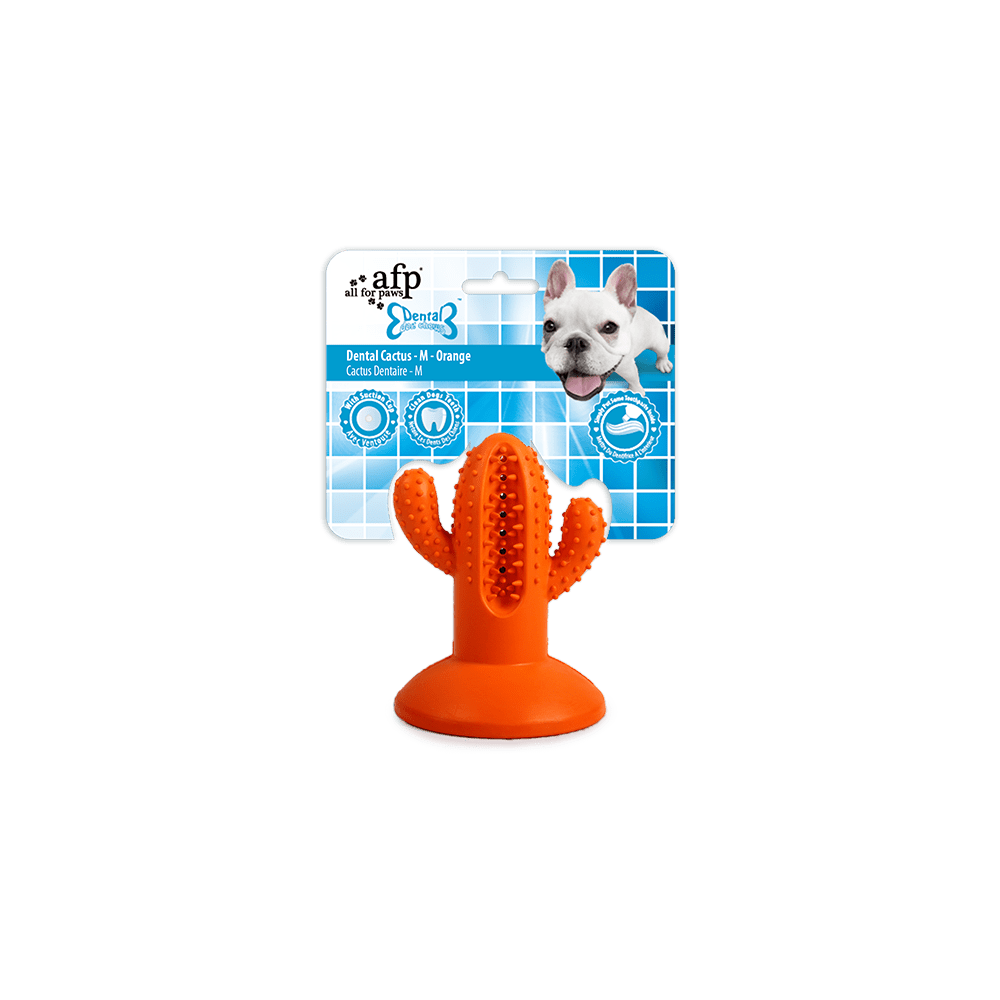 AFP Dental Chews - Cactus Dentaire M Orange pour Chien