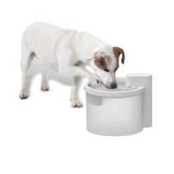 Fontaine sans fil AFP Lifestyle 4 pour chiens - Pratique et innovante