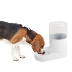 Distributeur Eau Gravity AFP Lifestyle 4 Pets | Chien