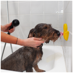 AFP Calm Paws: Canard anti-anxiété pour bain apaisant