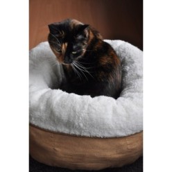 AFP Lambswool - Lit Donut Beige 45x45x20 cm