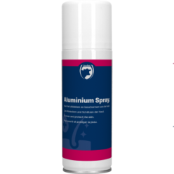 Spray Aluminium Professionnel 200ml | Excellent