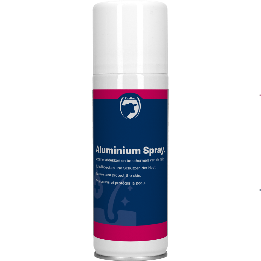 Spray Aluminium Professionnel 200ml | Excellent
