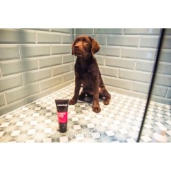 Shampooing Chiot Animology Puppy Love Doux 250ml