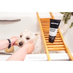 Shampooing Chien Animology Shampooing Blanchissant W