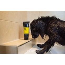 Shampooing pour chien Animology Fox Poo 250 ml - Efficace et naturel