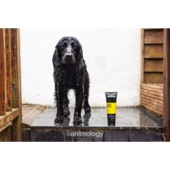 Shampooing pour chien Animology Fox Poo 250 ml - Efficace et naturel