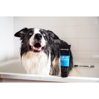 Shampooing anti-nœuds pour chien Animology Hair Of The Dog 250 ml