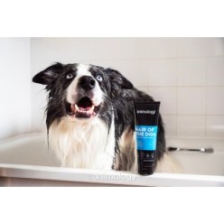 Shampooing anti-nœuds pour chien Animology Hair Of The Dog 250 ml