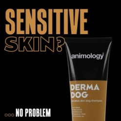 Shampooing doux pour chien à peau sensible - Animology Derma Dog 250 ml