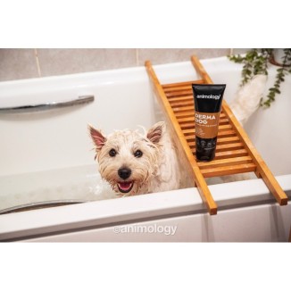 Shampooing doux pour chien à peau sensible - Animology Derma Dog 250 ml
