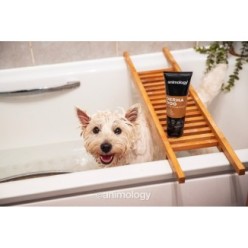 Shampooing doux pour chien à peau sensible - Animology Derma Dog 250 ml