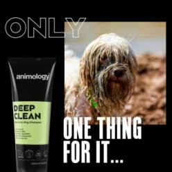 Shampooing Intensif Chien Animology Deep Clean 250 ml