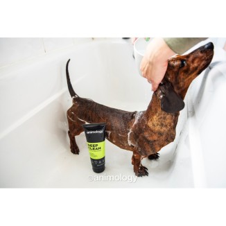 Animology Shampooing Nettoyage Profond D 250ml