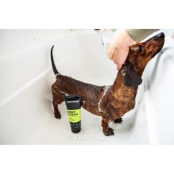 Animology Shampooing Nettoyage Profond D 250ml