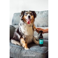 Animology Spray Démêlant