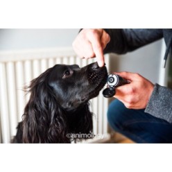 Baume pour pattes et nez chien Animology 50 ml