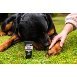 Animology Baume Protecteur Pattes & Nez