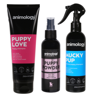 Animology Mon Premier Pack pour Chiot - La trousse essentielle de GB