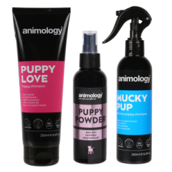 Animology Mon Premier Pack pour Chiot - La trousse essentielle de GB