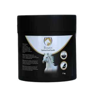 Cheval Biozin 1 kg par Excellent Horse: Optez pour l'excellence !