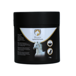Biozin Excellent | Biotine Zinc Méthionine Cheval