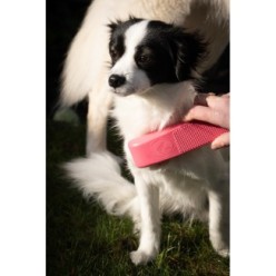 Brosse de toilettage pour chien Excellent rose moyen