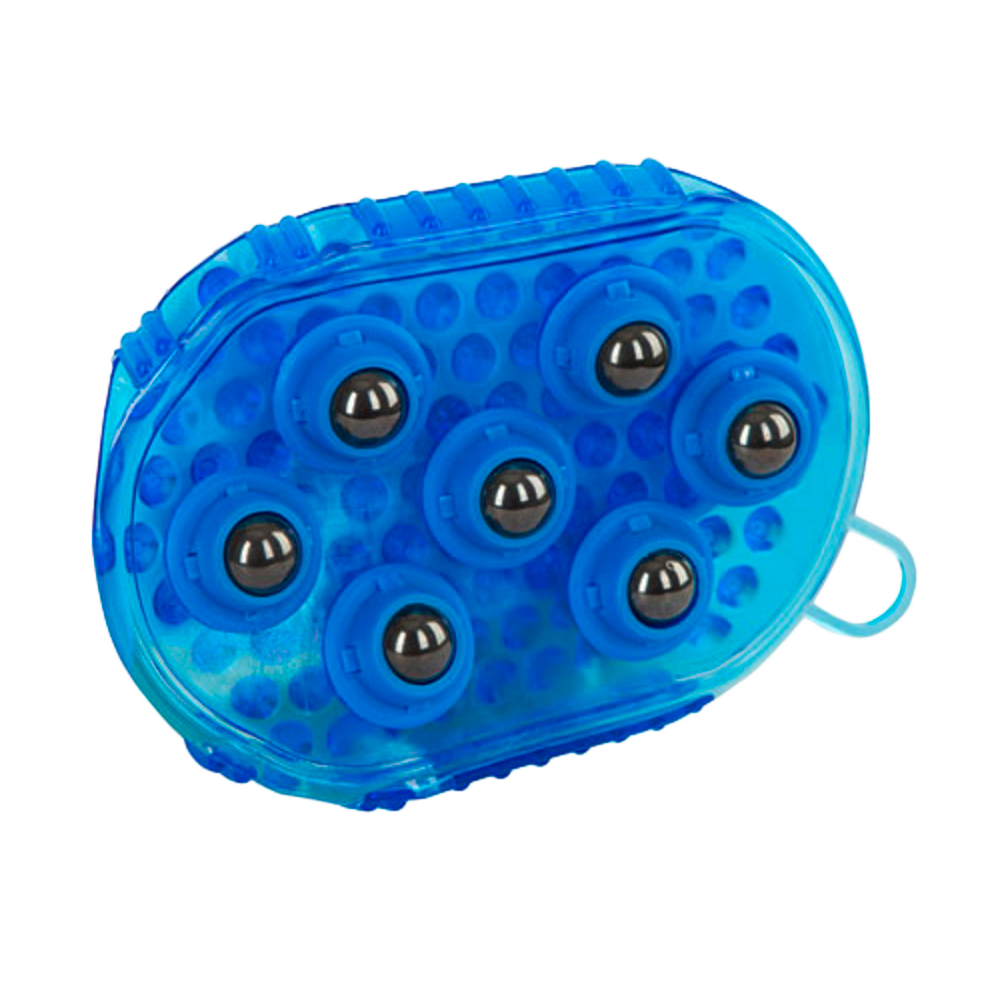 Brosse de massage magnétique bleue pour cheval