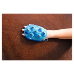 Brosse de massage magnétique bleue pour cheval