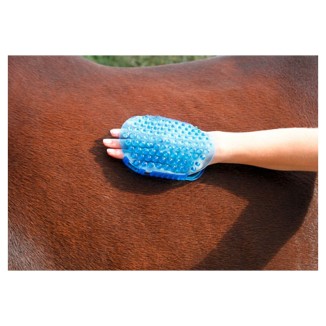 Brosse de massage magnétique bleue pour cheval