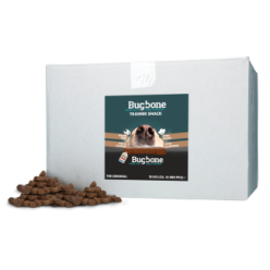 Bugbone Vrac Insectes - Format Économique Friandise Chien