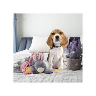 Délicieuses friandises croquantes Le Bunny Puppy Chew - 1 st