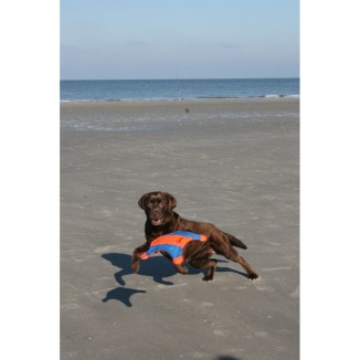 Chuckit! Flying Squirrel M - Jeux de plein air pour chien