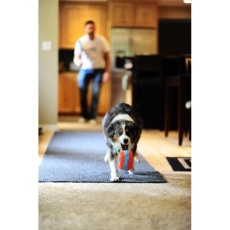 Chuckit! Rouleau d'intérieur pour chiens - Qualité Chuckit!VN