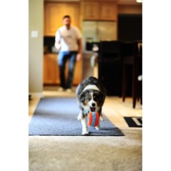 Chuckit! Rouleau d'intérieur pour chiens - Qualité Chuckit!VN