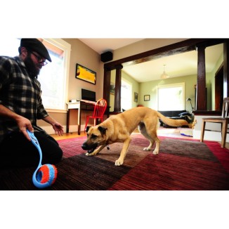 Chuckit! Rouleau d'intérieur pour chiens - Qualité Chuckit!VN