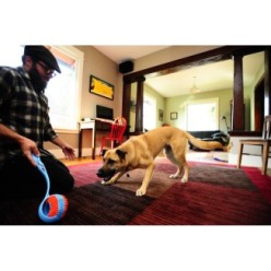 Chuckit! Rouleau d'intérieur pour chiens - Qualité Chuckit!VN