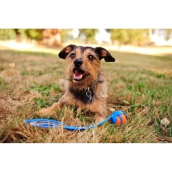 Lot de 2 balles Chuckit! Ultra Ball S pour chiens