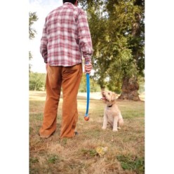 Lot de 2 balles Chuckit! Ultra Ball S pour chiens