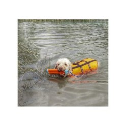 Chuckit! Amphibious Bumper S pour chien de 1 st