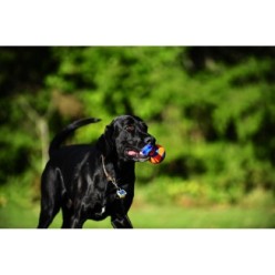 Chuckit Ultra Tug - Balle Corde Traction Premium Chien