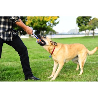 Chuckit Ultra Tug - Balle Corde Traction Premium Chien