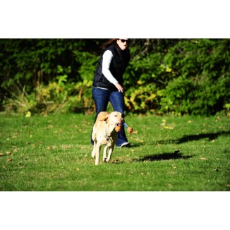 Jouet à tirer Chuckit! Ultra Duo S - Pour des heures de jeu avec votre chien