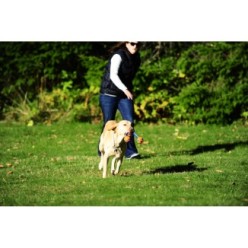Jouet à tirer Chuckit! Ultra Duo S - Pour des heures de jeu avec votre chien