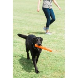 Bâton de Fetch Air Chuckit! pour chiens