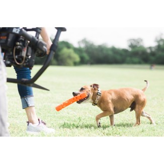 Bâton de Fetch Air Chuckit! pour chiens